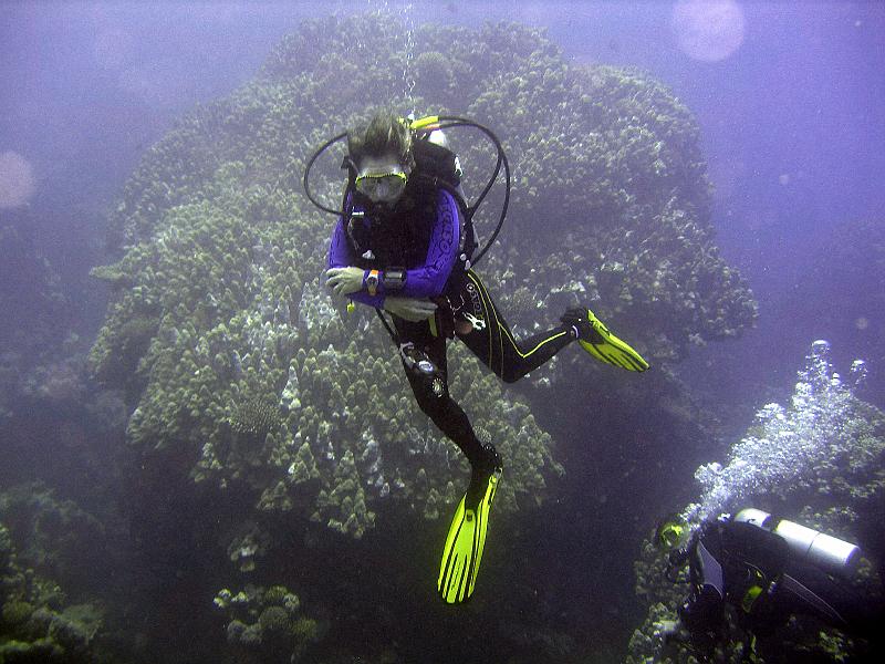 MANGROVE 07  2008 185.jpg